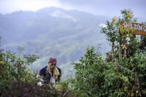 BIB: 
                            <button type="button" onclick="openModal(24764606)" class="btn btn-primary btn-sm float-right btn-popup" data-toggle="modal" data-target=".modal-high-quality">
                        <i class="fas fa-shopping-cart"></i> Add to Cart
                    </button>
                                            <button type="button" onclick="isThisMe(24764606, true)" class="btn btn-success btn-sm float-right btn-popup btn-isme hidden" data-toggle="tooltip" data-placement="bottom" title="นี่คือรูปของคุณใช่ไหม คลิกที่นี่เพื่อเอาเข้าอัลบั้ม">
                        <i class="fas fa-plus"></i> Add to album
                    </button>
                    <button type="button" onclick="isThisMe(24764606, false)" class="btn btn-warning btn-sm float-right btn-popup btn-isnotme hidden">
                        <i class="fas fa-ban"></i> Remove from album
                    </button>